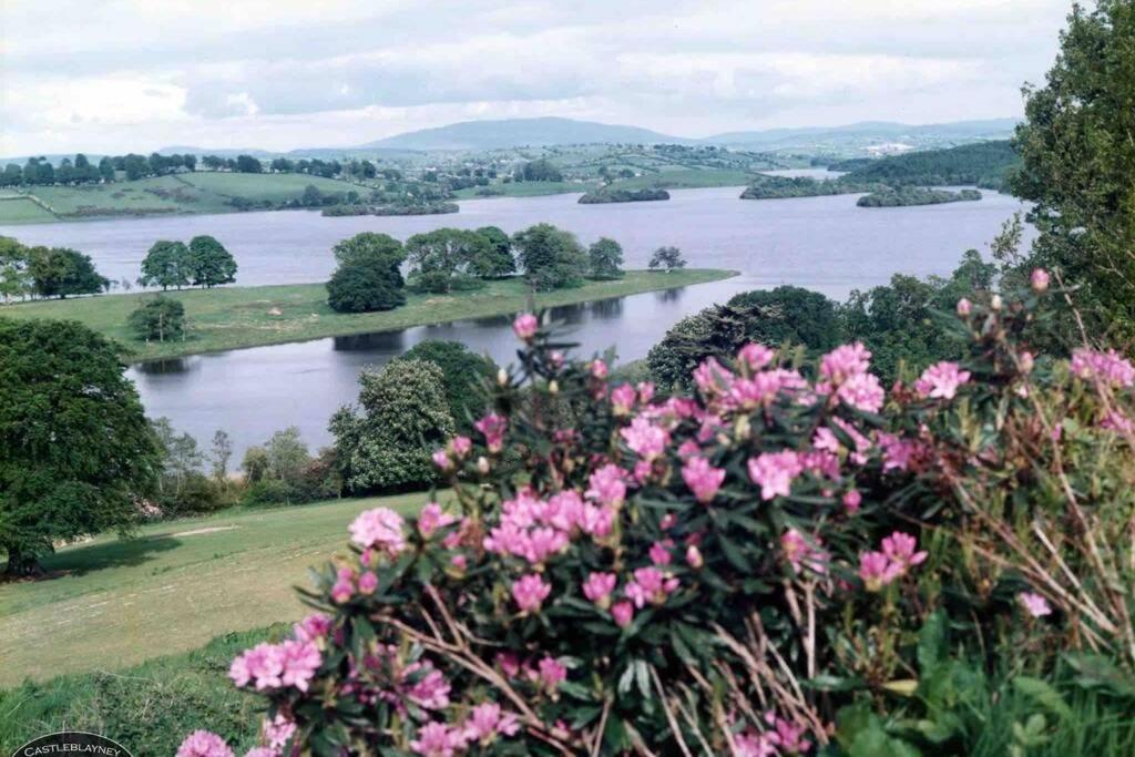 Glenmount Castleblayney Villa Bagian luar foto