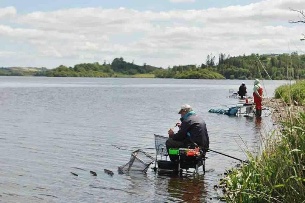Glenmount Castleblayney Villa Bagian luar foto